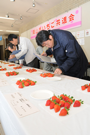 140127_02 イチゴを審査する審査員(9日、岡山市役所で)