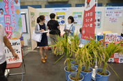 JA岡山中央会の出展ブース(24日) JA岡山中央会の出展ブース(24日)
